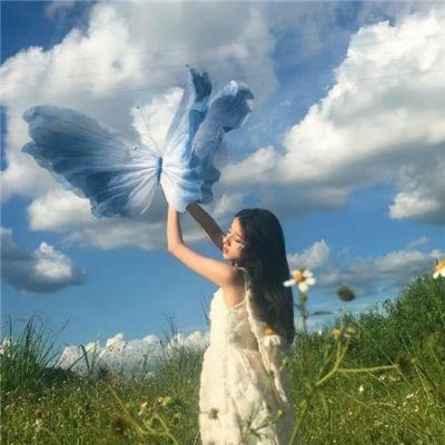 兰闺飞凤