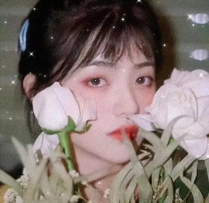 够姜小强爱上够靓小奥